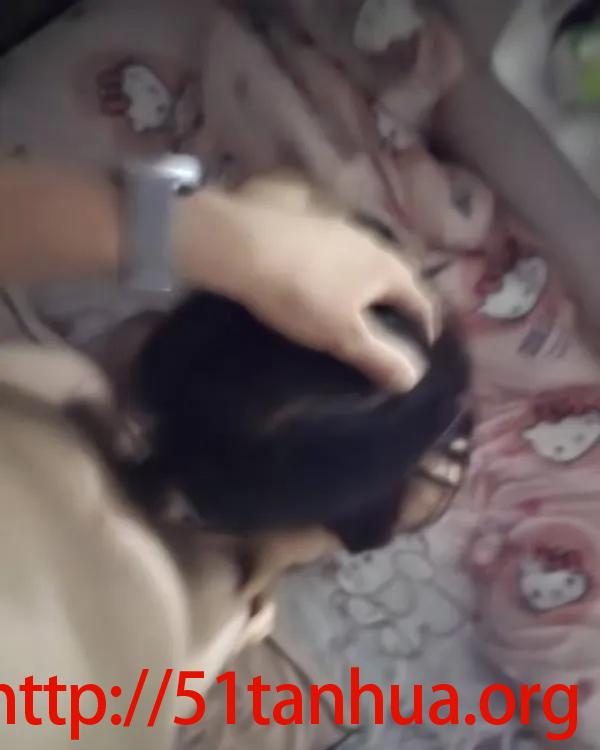 熟妇肛交